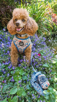 Shipwrecked Nautical Dog Harness, 11 of 11