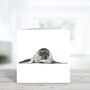 Ara The Seal Luxury Blank Greeting Card And Envelope, thumbnail 2 of 2