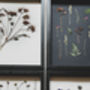 Original Pressed Flower Frame – A3 Echo Bloom Botanical Wall Art, thumbnail 7 of 7