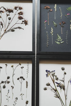 Original Pressed Flower Frame – A3 Echo Bloom Botanical Wall Art, 7 of 7