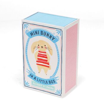 Mini Bunny Rabbit In A Little Match Box, 2 of 5