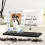 Personalised Pet Loss Memorial Butterfly Acrylic Plaque, thumbnail 1 of 2