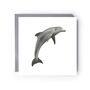 Aries The Dolphin Luxury Blank Greeting Card, thumbnail 1 of 2