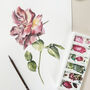 Rose June Birth Flower Watercolour Art Print, thumbnail 2 of 3