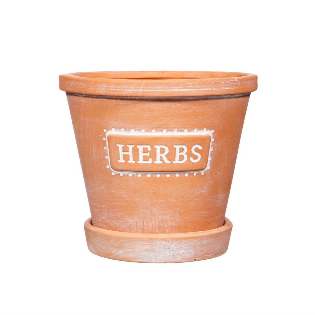 Terracotta Herb Planter By DingaDing