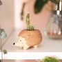 Tiny Hedgehog Planter, thumbnail 2 of 5