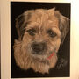 Personalised Pastel Portrait Of Your Dog, thumbnail 4 of 6
