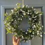 Giant Mistletoe Wreath, thumbnail 1 of 6