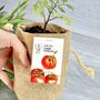 Cherry Tomato Jute Bag Grow Set, thumbnail 2 of 6