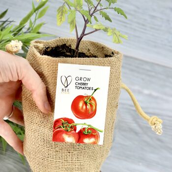 Cherry Tomato Jute Bag Grow Set, 2 of 6