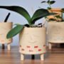 Personalised Plant Pot With Fish Design And Feet, thumbnail 2 of 7