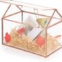 Rose Gold Glass Geometric Plant Terrarium With Lid, thumbnail 4 of 7