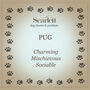 Pug Dog Personalised Silver Necklace, thumbnail 9 of 10
