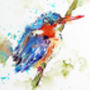 Kingfisher Print, The Fisherman, thumbnail 2 of 3