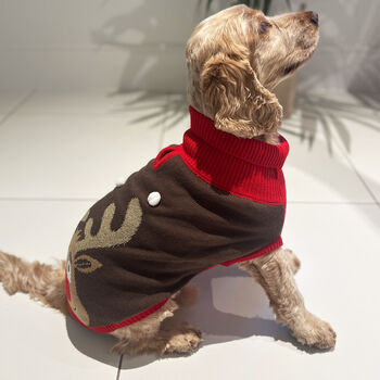 Christmas Rudolf Dog Jumper, 3 of 5