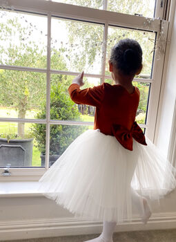 Long Sleeve Burnt Orange Velvet Christmas Party Dress, 5 of 7