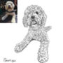 Personalised Pen And Ink Pet Portrait, thumbnail 7 of 10