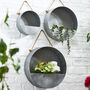 Alto Contemporary Round Wall Planter, thumbnail 1 of 7