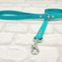 Waterproof Dog Collar And Lead Set Teal, thumbnail 3 of 3