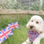 Union Jack Dog Bandana, thumbnail 2 of 5