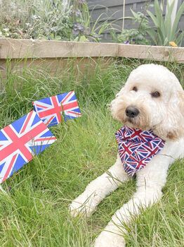 Union Jack Dog Bandana, 2 of 5