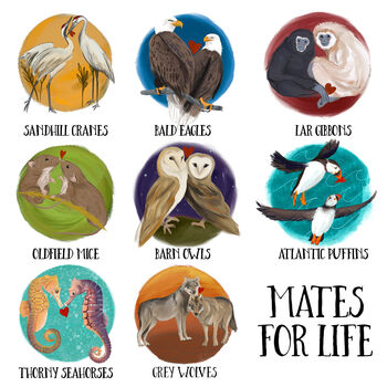 Mates For Life Coasters, 3 of 8