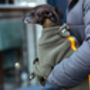 Italian Greyhound Polartec Water Resistant Dog Coat, thumbnail 2 of 4