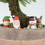 Mini Festive Gnomes Plant Pot Markers, thumbnail 5 of 5