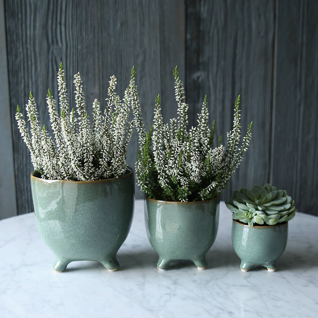 Sage Green Raised Pot Collection