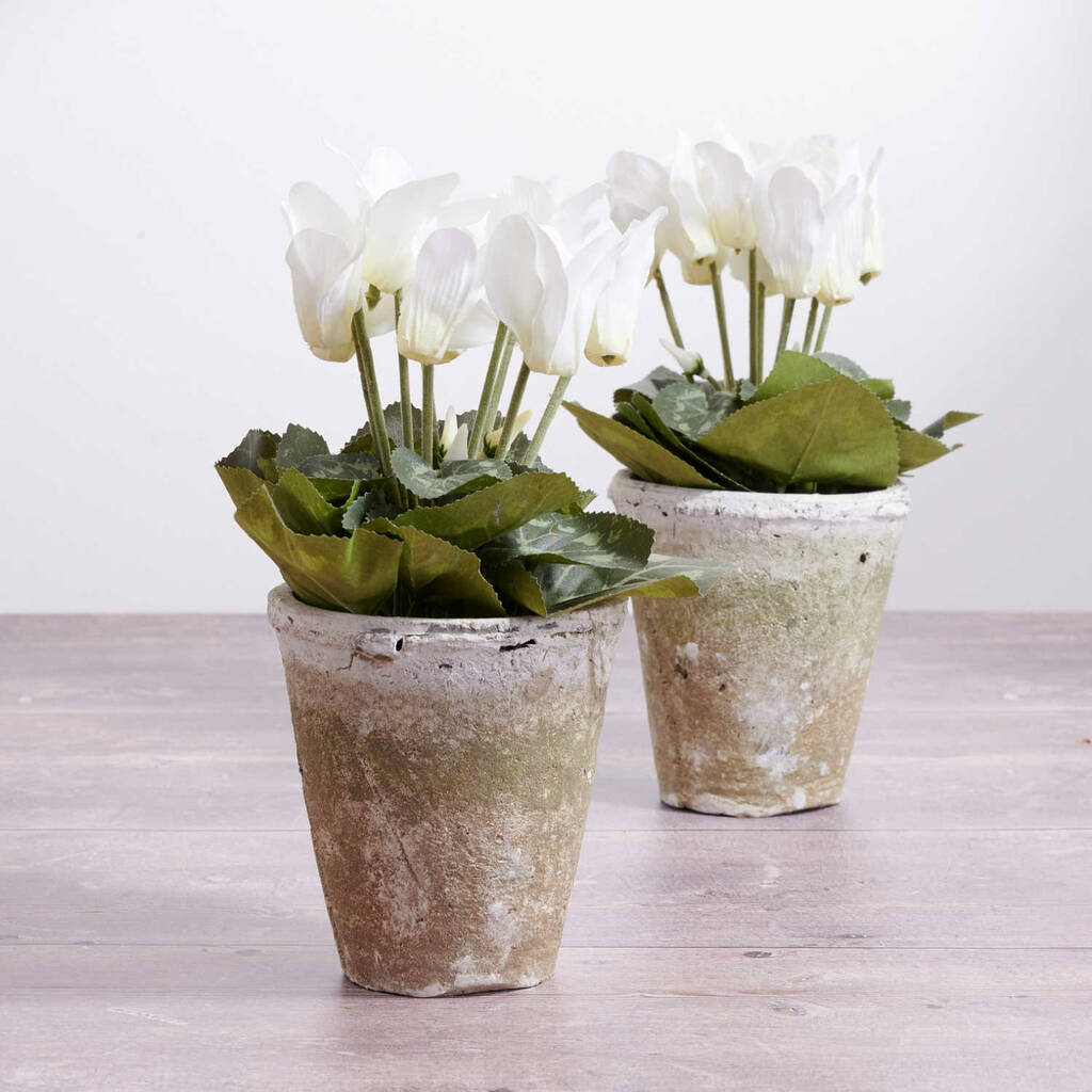 Faux White Cyclamen In White Hand Potted Plant Pot, 1 of 2