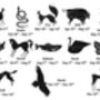 Personalised Celtic Zodiac Birth Animal Family Print, thumbnail 3 of 4