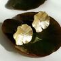Gold Plated Sterling Silver Lily Pad Studs, thumbnail 2 of 7