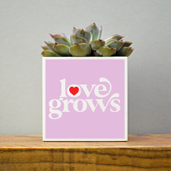 'Love Grows' Valentine's Plant Pot And Houseplant, 7 of 7