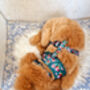 Vintage Clover Green Peonies Dog Collar, thumbnail 4 of 9