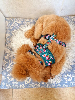 Vintage Clover Green Peonies Dog Collar, 4 of 9