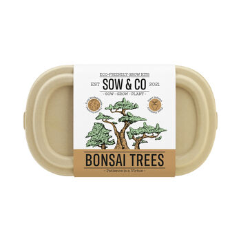 Sow And Co Grow Kits Chilli, Bonsai, Herbs Or Cactus, 3 of 12