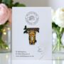 Small Hang In There Cat Tiger Cat Enamel Pin, Encouragement Brooch Badge, Mental Health, Supportive Friendship Gift, thumbnail 1 of 8