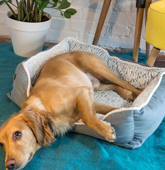 Luxury Neutral Fleeced Dog Bed, 4 of 4