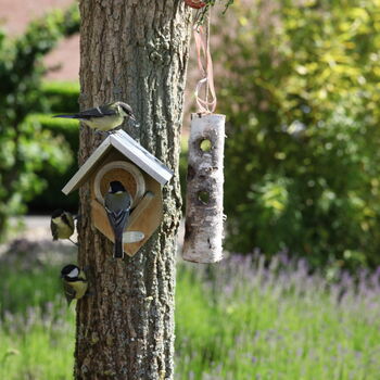 Pine Peanut Butter Bird Feeder With Zinc Roof 19.5cm, 4 of 5