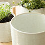 White Speckled Ceramic Plant Pot, thumbnail 3 of 4