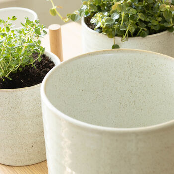 White Speckled Ceramic Plant Pot, 3 of 4