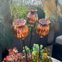Set Of Three Copper Seed Head Garden Planter Stakes, thumbnail 3 of 9