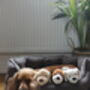 Brown Black Cream, Puppy Baby Soft Toy, thumbnail 6 of 6