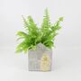 Boston Fern In Snowman Pot Air Purifying Gift, thumbnail 2 of 2