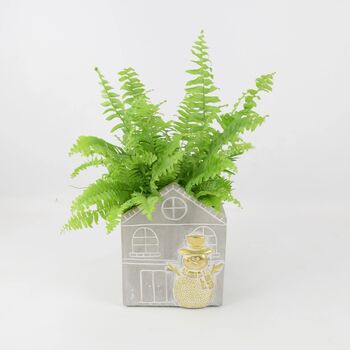 Boston Fern In Snowman Pot Air Purifying Gift, 2 of 2