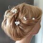 Set Of Five Pearl Bridal Hair Pins, thumbnail 10 of 11