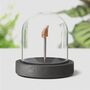 Velociraptor Tooth Bell Jar, thumbnail 1 of 9