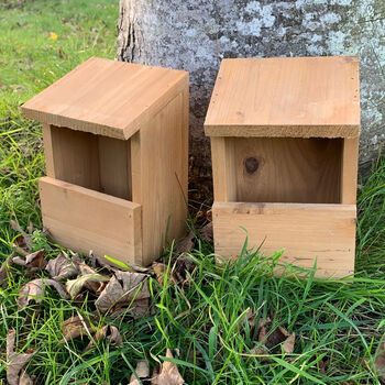 Set Of Two Wooden Robin Bird Houses, 2 of 4