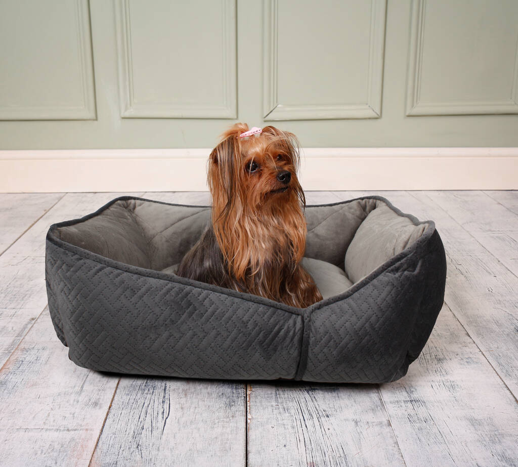 Geometric Comfort Neutral Pet Sofa Bed Medium By NOAH S ARK   Original Geometric Neutral Pet Sofa Bed Medium 