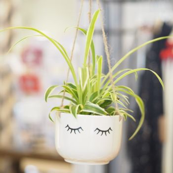 Sweet Eyelash Planters, 2 of 4